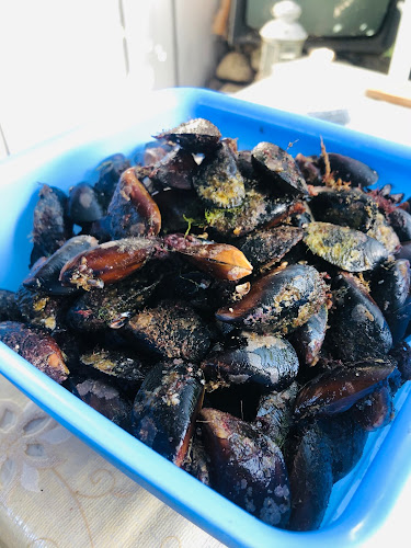 Морско - Царево