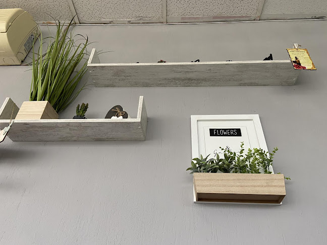 Comentarii opinii despre Бързо хранене "Катринчи"