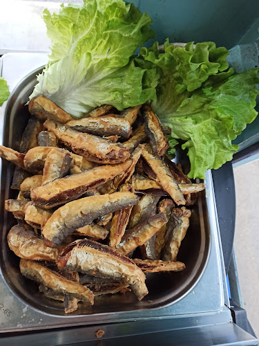 ж.к. Сторгозия, ул. „Еделвайс“ 22, 5802 Плевен