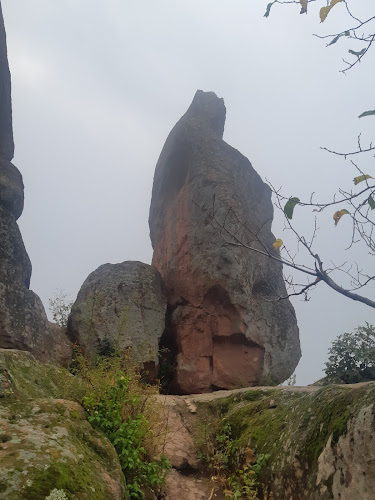 Comentarii opinii despre Бистро Детелина