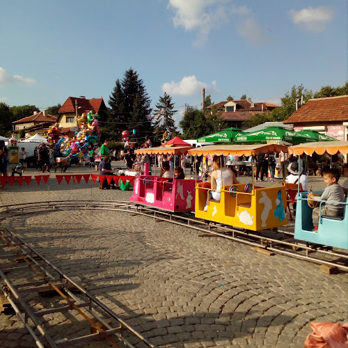 Comentarii opinii despre Смиляна