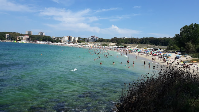 Бирария "Хайни" - Китен