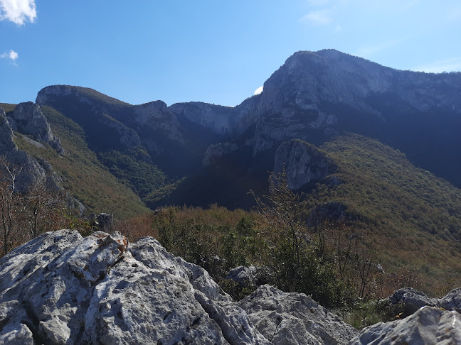 The Face - Гастрономия и хотелиерство