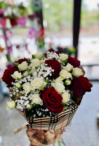 ул. „Търговска“ 151, 2040 Долна баня