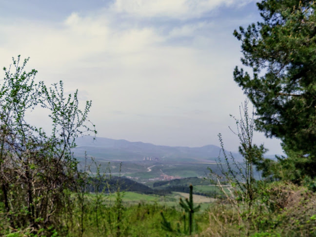Вила Електра - Гастрономия и хотелиерство