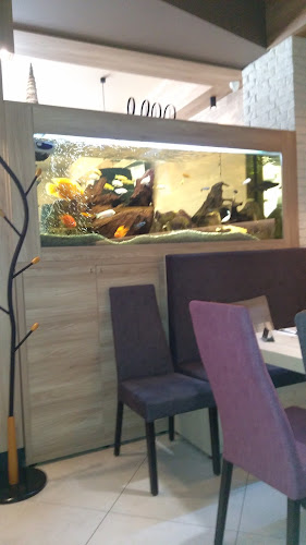 Плевен Център, бул. „Данаил Попов“ 17Б, 5801 Плевен