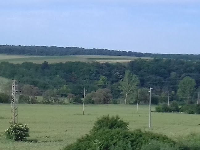 Opinii despre Бистро Момин Рид în Разград - Гастрономия и хотелиерство