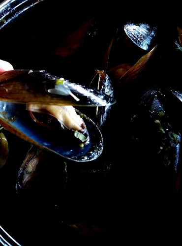 Comentarii opinii despre Ред рок