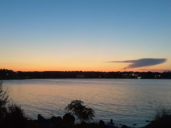 Comentarii opinii despre Морско