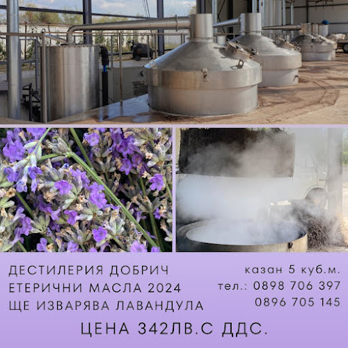 Comentarii opinii despre Дестилерия за етерични масла САРИС гр.Добрич