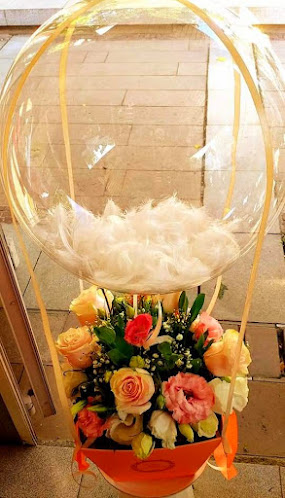 Цветен свят - Нова Загора - Нова Загора