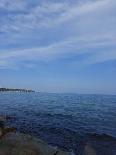 СалтанатПриморски, 9010 Варна