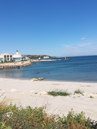 Монти - Гастрономия и хотелиерство