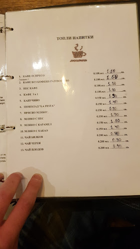 8009 Меден Рудник, България