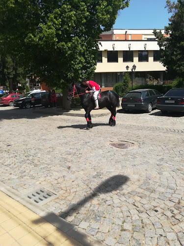 Бо Кафе - Гастрономия и хотелиерство