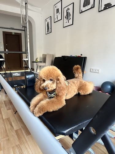 Comentarii opinii despre Social Studio - Xbody & Pilates Reformer 2