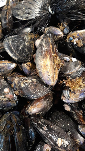 Созопол - Гастрономия и хотелиерство