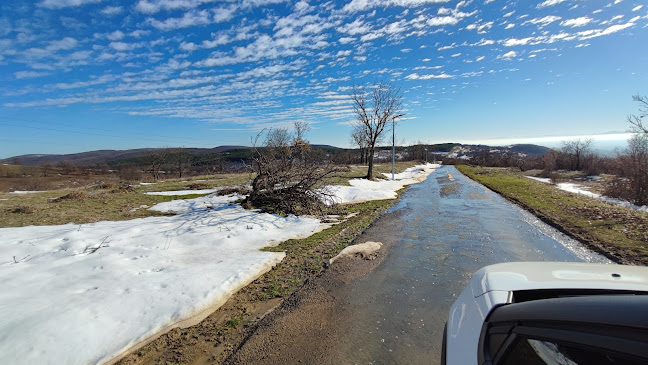 Restaurant Bar Harmony Suites Monte Carlo - Гастрономия и хотелиерство
