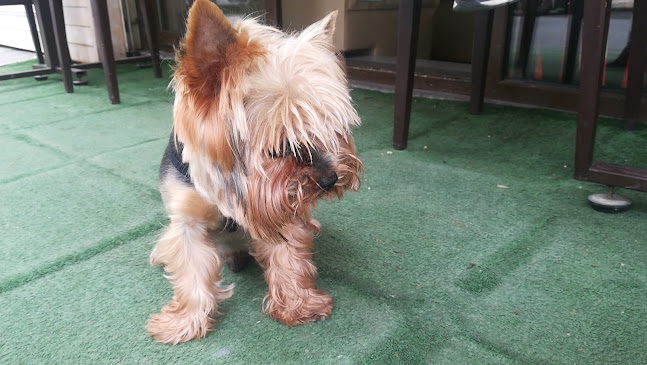 BiG BEN - Гастрономия и хотелиерство