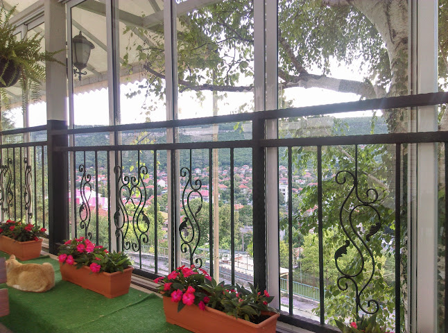 9260 Аспарухово