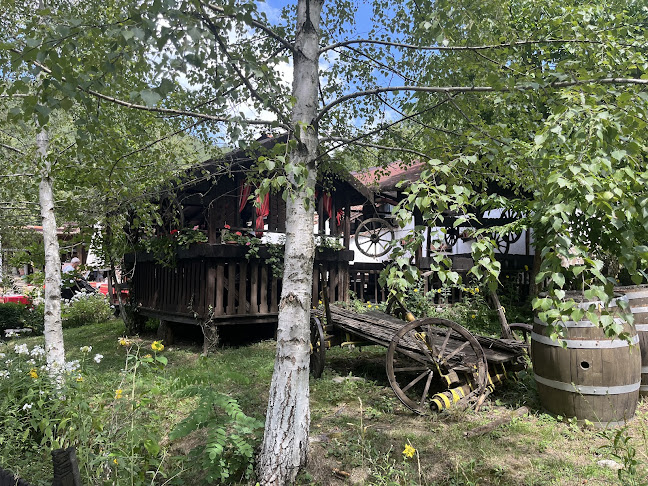 Comentarii opinii despre Механа "Воденицата" Благоевград