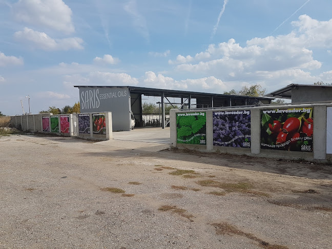 Северна промишлена зона, 9300 Добрич