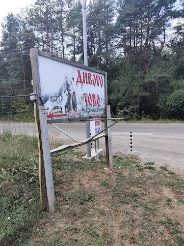 Comentarii opinii despre ЗАВЕДЕНИЕ ЗА БЪРЗО ХРАНЕНЕ "ДИВОТО ЗОВЕ"