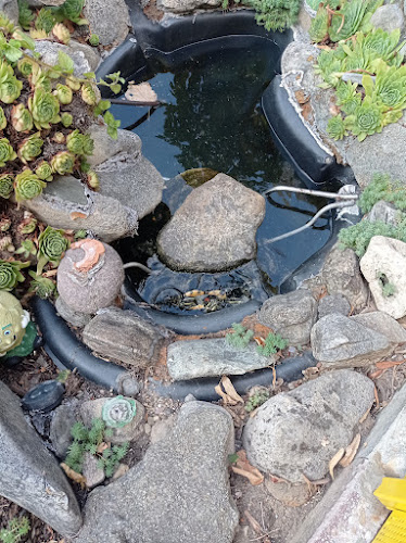 Бистро Мираж - Гастрономия и хотелиерство