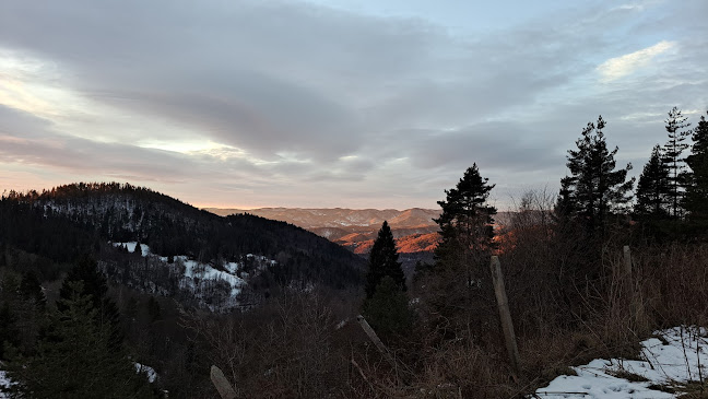 Ресторант "Фантазия" - Гастрономия и хотелиерство