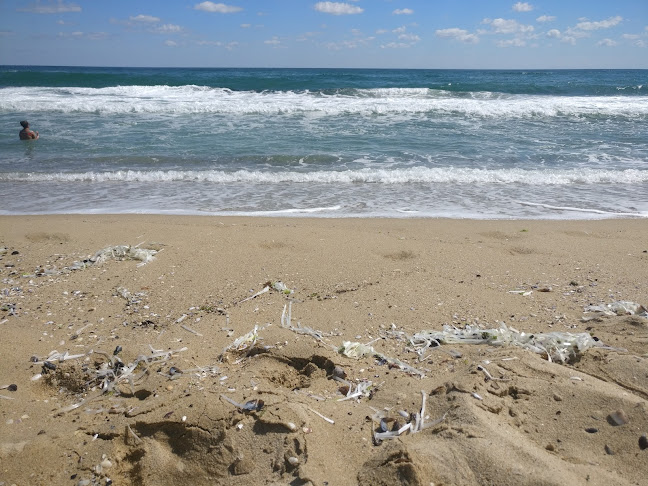 Морски кът - Гастрономия и хотелиерство