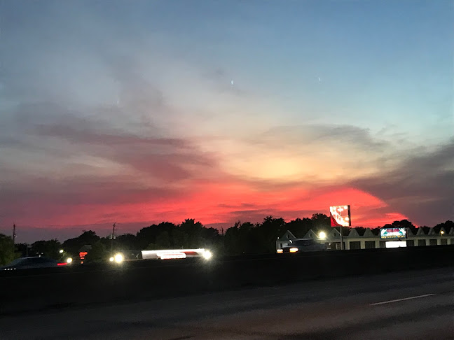 GOLDEN FISH - София