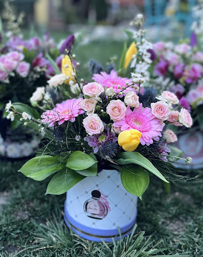 Comentarii opinii despre Цветарски магазин „Подари цвете“