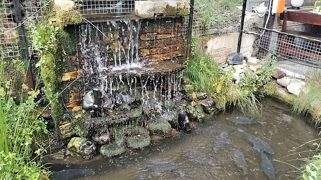 Ресторант „Прохлада“ - Гастрономия и хотелиерство