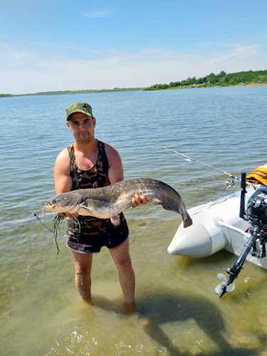 Comentarii opinii despre Каравана Парк