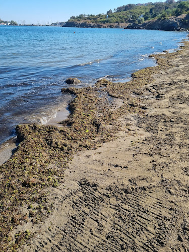 Marina Beach Bar, by Santa Marina - Гастрономия и хотелиерство