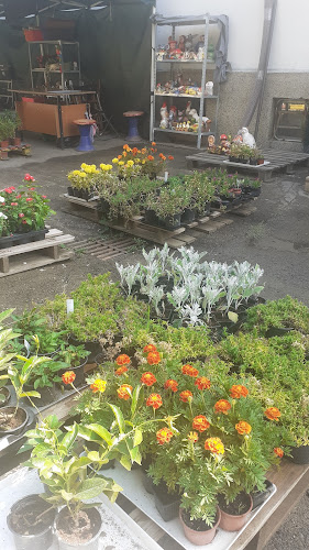 Северна промишлена зона, ул. „Свищовска“ 18, 5300 Габрово