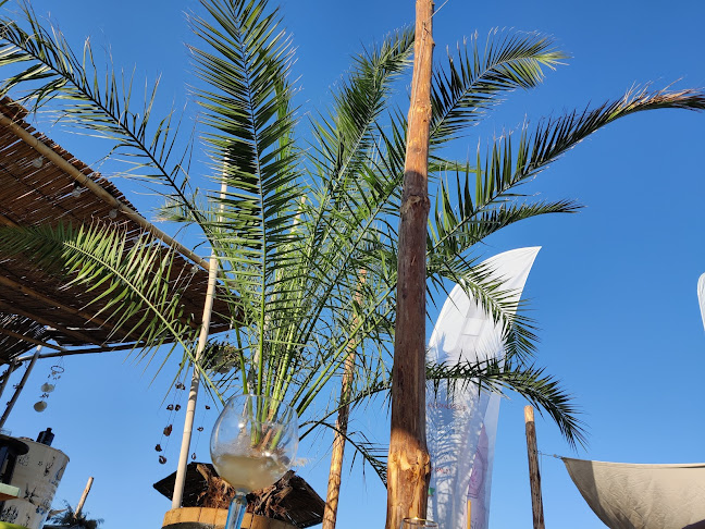 к.к.” Чайка” плаж Кабакум, 9007 Варна