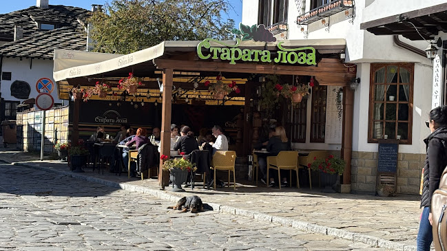 ул. Петко Р. Славейков 44, 5350 Трявна