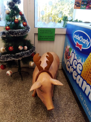 Северна промишлена зонаМладост, ул. „Тролейна“ 12, 9009 Варна