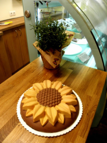 Comentarii opinii despre Жива Храна