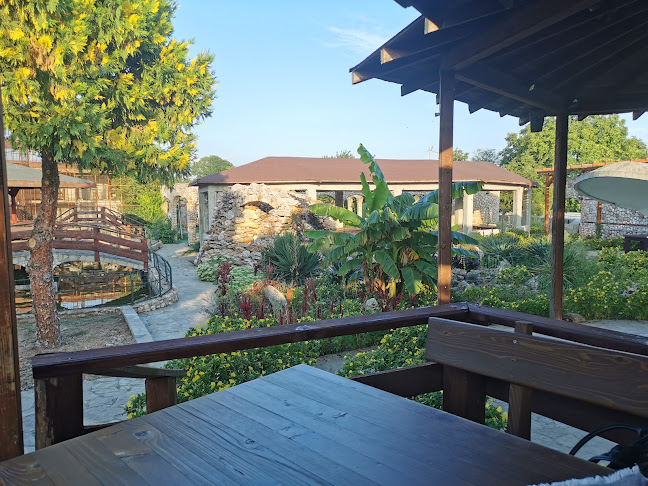 Comentarii opinii despre Wild Duck hotel-restaurant