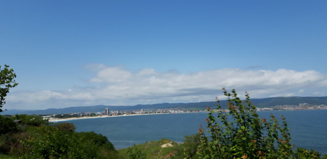 созополски сладкиш "дамга" - Гастрономия и хотелиерство