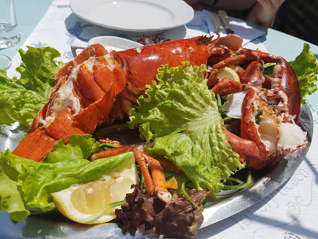 Стария Моряк Old Sailor - Гастрономия и хотелиерство