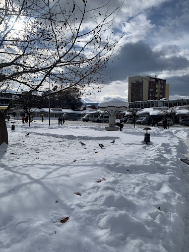 Samokovi - Гастрономия и хотелиерство