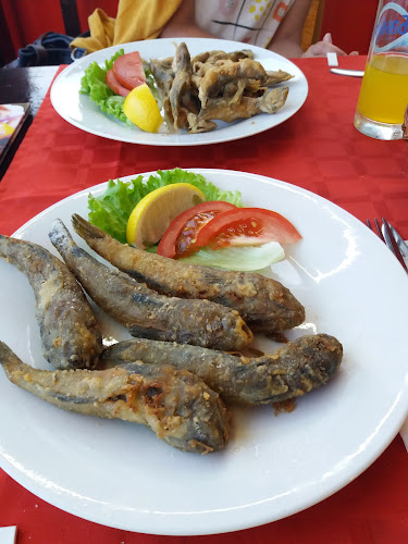 Comentarii opinii despre Кеми