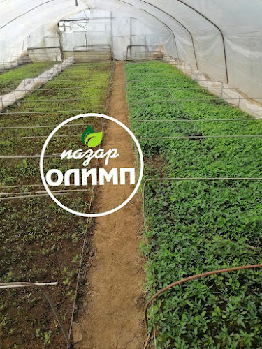 ж.к. Здравец, ул. „Захари Стоянов“ 5, 7005 Русе