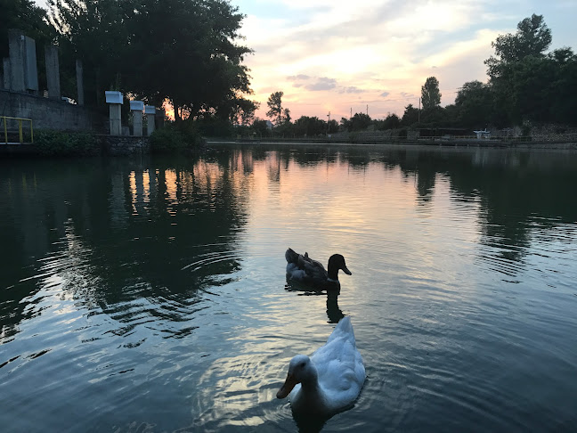 Спортен Риболов ЗРНО - Дупница