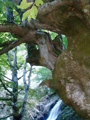 Кафе Сладкарница - Лъжница