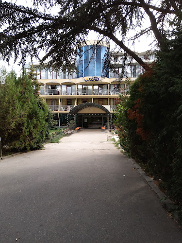 Comentarii opinii despre Монти