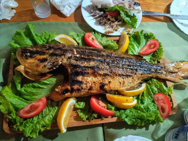 Зеленото | Интернационална кухня | Сачове | Скара | Пици | Салати | Десерти - Гастрономия и хотелиерство